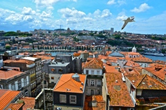 Mansor - Soaring through Porto Portugal.jpg
