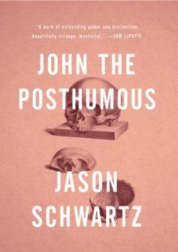 Jason Schwartz book cover