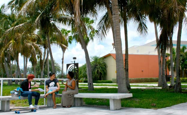 Current graduate students discuss their work outside the Culture & Society Building on the Boca Raton Campus. Photo Credit: Scott Rachesky