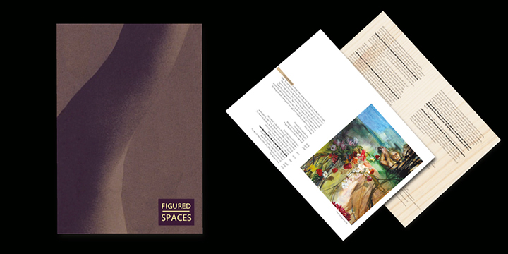 Figured Spaces Catalogue
