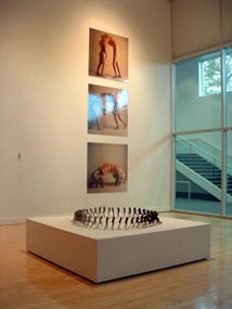 Installation view of works by Maria Fernando Cordoso and Monica Von Aspirin.