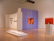 Installation view of works by Margarita Cabrera and Sandra Bermudez.
