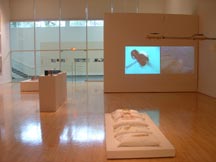 Installation view of works by Sandra Ramos and Silvia Gruner.