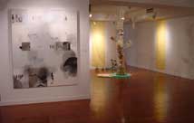 Installation view Ritter Art Gallery.
