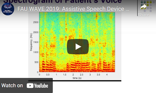 wave-2019-assistive-speech