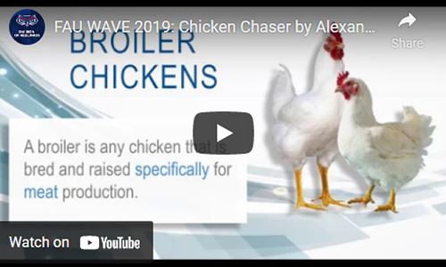 wave-2019-chicken-chasere