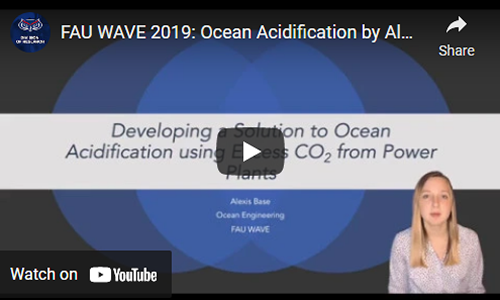 wave-2019-ocean-acidification