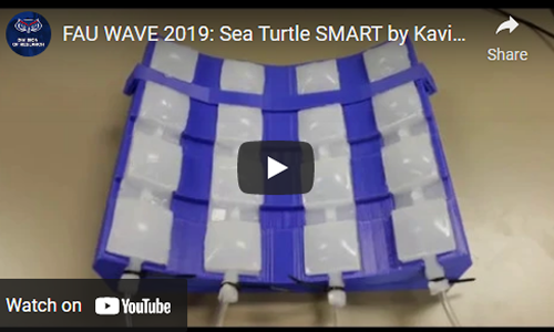 wave-2019-sea-turtle