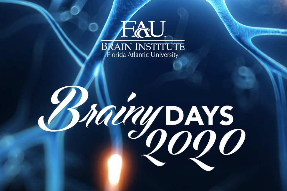 Brainy Days 2020 image