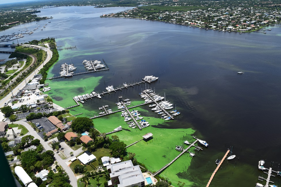 Toxic Algal Blooms, St. Lucie Estuary, Septic Systems 