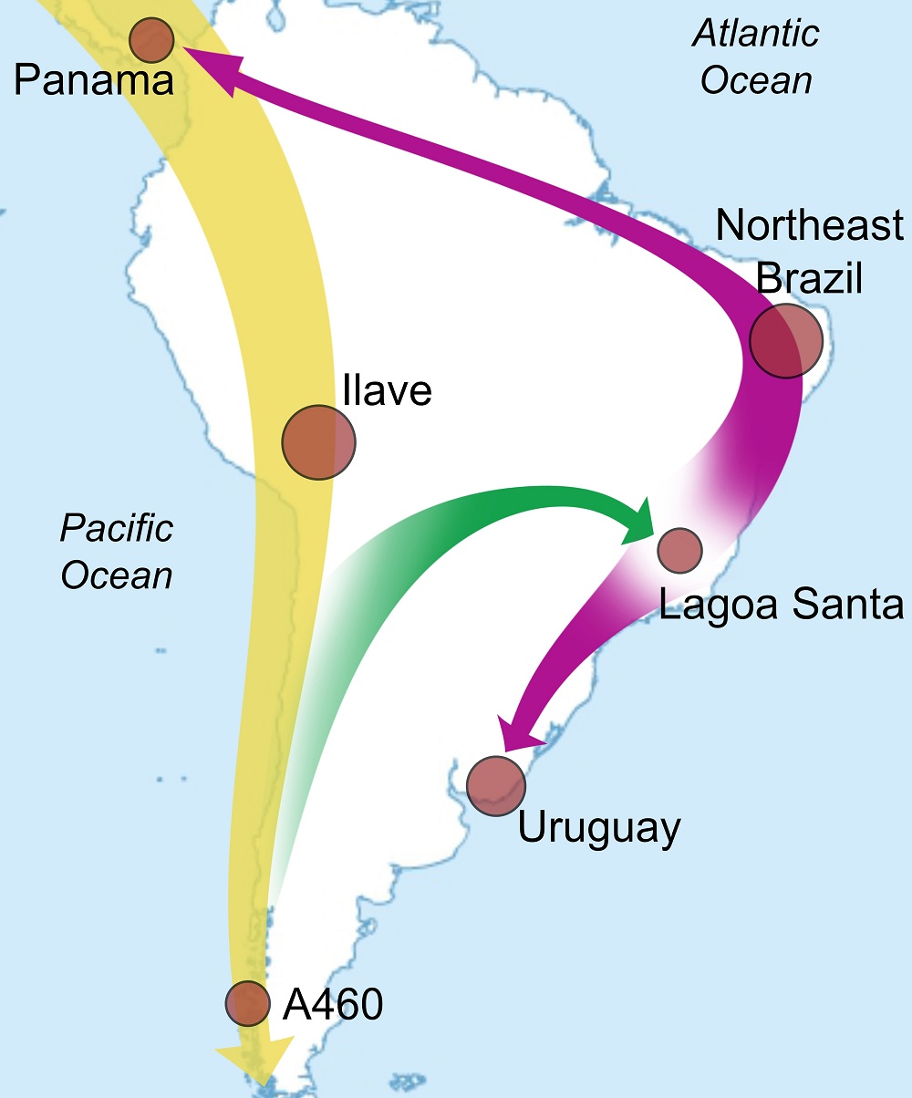Summary of Migrations