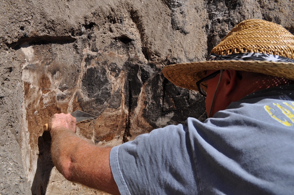 Archaeologists Discover Ancient Bison Bones in Vero Beach