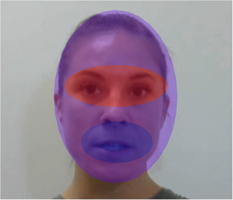 For the study, researchers focused on three areas of interest, which they used for fixation analyses: full face (purple), eyes (red) and mouth (blue).