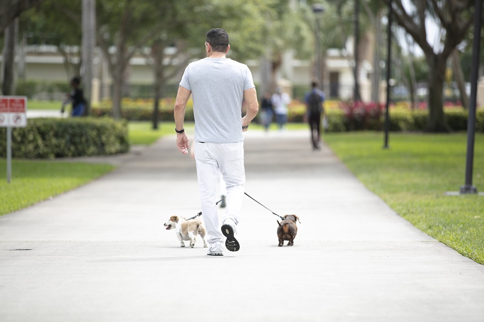 A veteran takes a stroll with rescue Dachshunds 12-year-old Daisy (right) and three-year-old Heidi. 