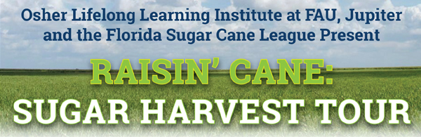 Osher Lifelong Learning Institute at FAU, Jupiter and the Florida Sugar Cane League Present Raisin' Cane: Sugar Harvest Tour