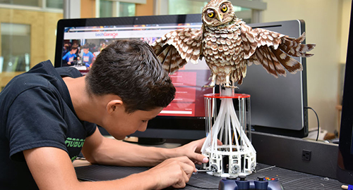 FAU Lab Schools Recognized for Focus on STEM