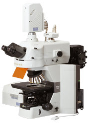 Nikon A1R Confocal Microscope with Laser TIRF Imaging System on a Ti-E Inverted Microscope