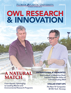 Owl Research and Innovation,Spring 2017