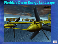 Click on the image above to view a video about the center. Animation by FAU Center for Electronic Communications.