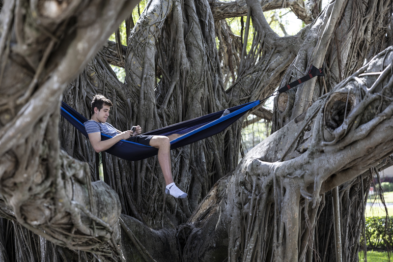 Student relaxing in hammock on campus