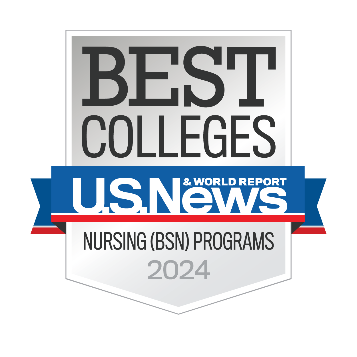 nursing programs 2024 badge