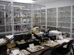 zoological archaeological lab