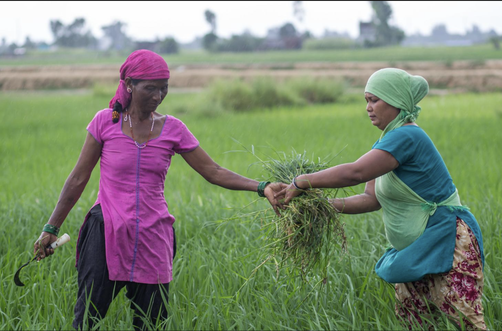 New Publication from Subata Zannat Riya and Md Rubel Mia