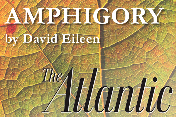 Amphigory: A poem By David Eileen