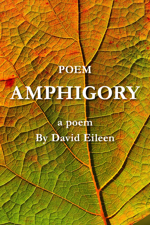 Amphigory: A poem By David Eileen