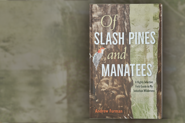Andrew Furman's Of Slash Pines and Manatees