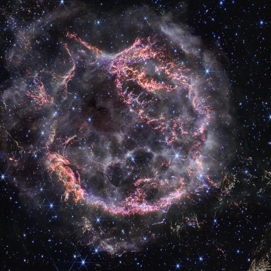 LIT 3313, Taylor, Fall 2024