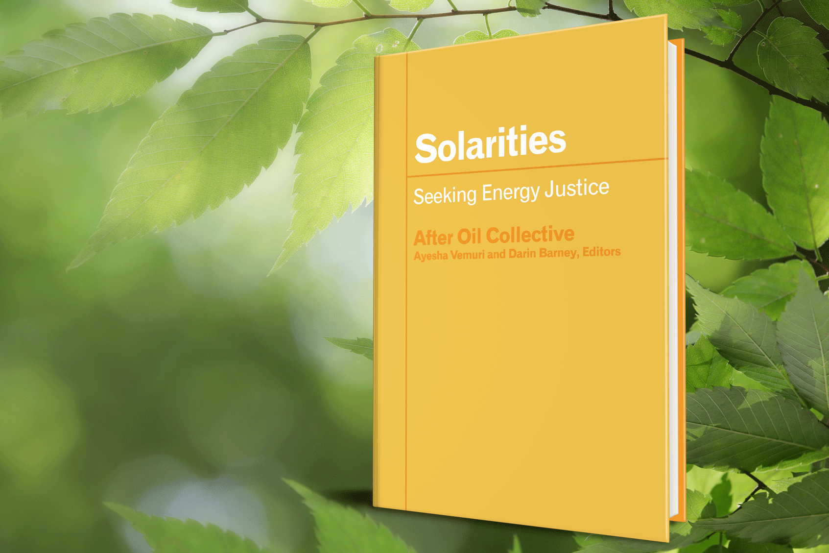  Solarities: Seeking Energy Justice 