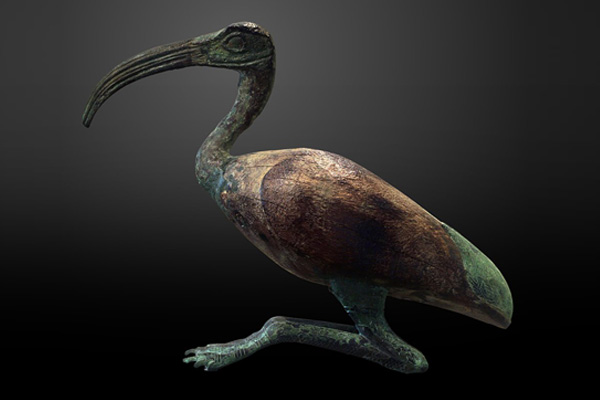 ibis artifact