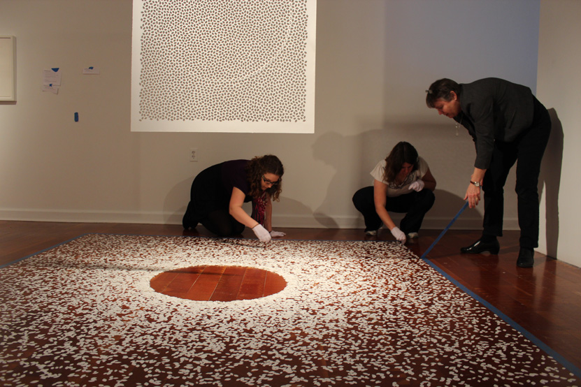 Felicia Carlisle Installation