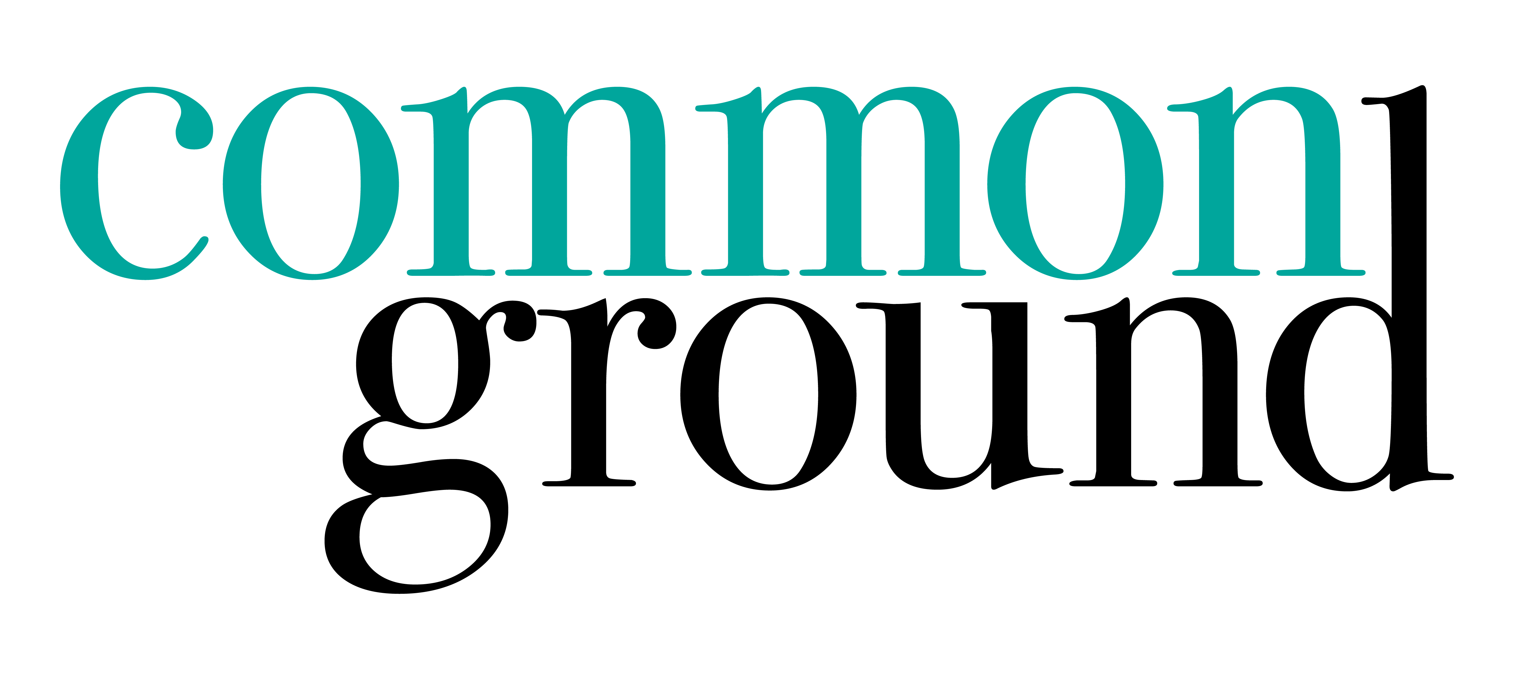 Common Ground: Fall 2016 BFA Exhibition