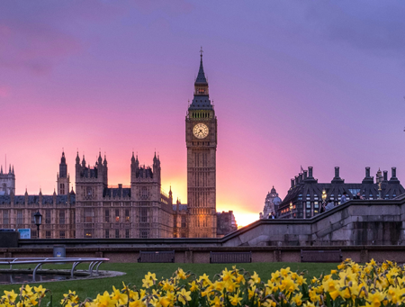 London landscape images, flowers in the foreground and a clock tower and English architecture in the backdrop with a glowing sunset