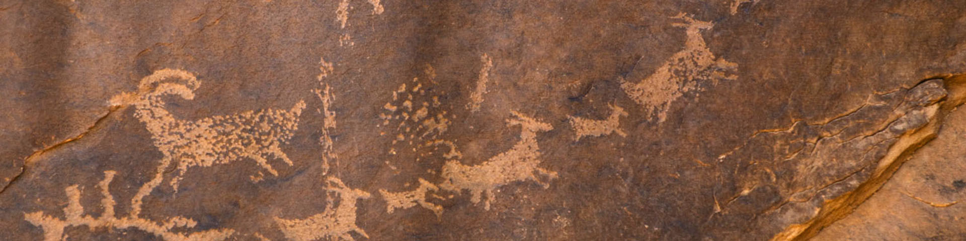 Department of Anthropology