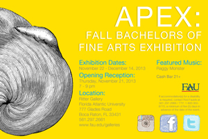APEX: the Fall 2013 BFA Graduates Exhibition