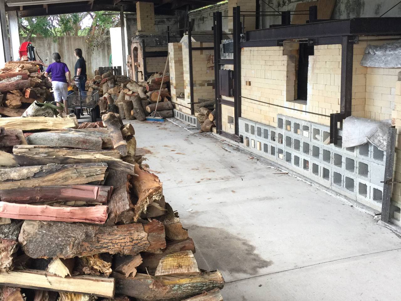 Wood Salvaged from Hurricane Irma to be Used for Artist Workshop