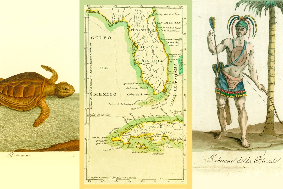 Tangled Roots: Florida’s Revolving Empires and the Opportunities of Changing Borders, 1760-1830