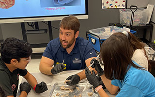 neuroexplorer past event