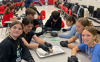 neuroexplorer past event