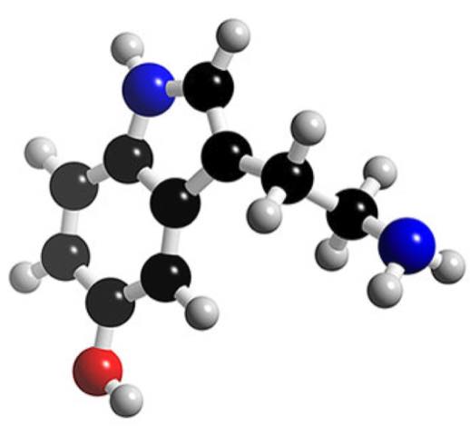 Molecule Diagram