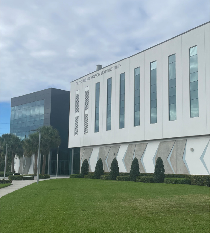 Mock up of Brain Institute Building