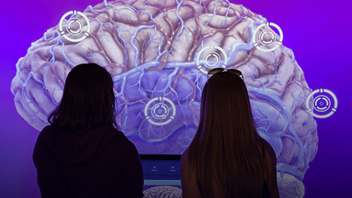 silhouette of two students in front of a projected image of a brain