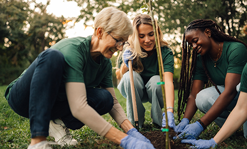 three people gardening, smiling