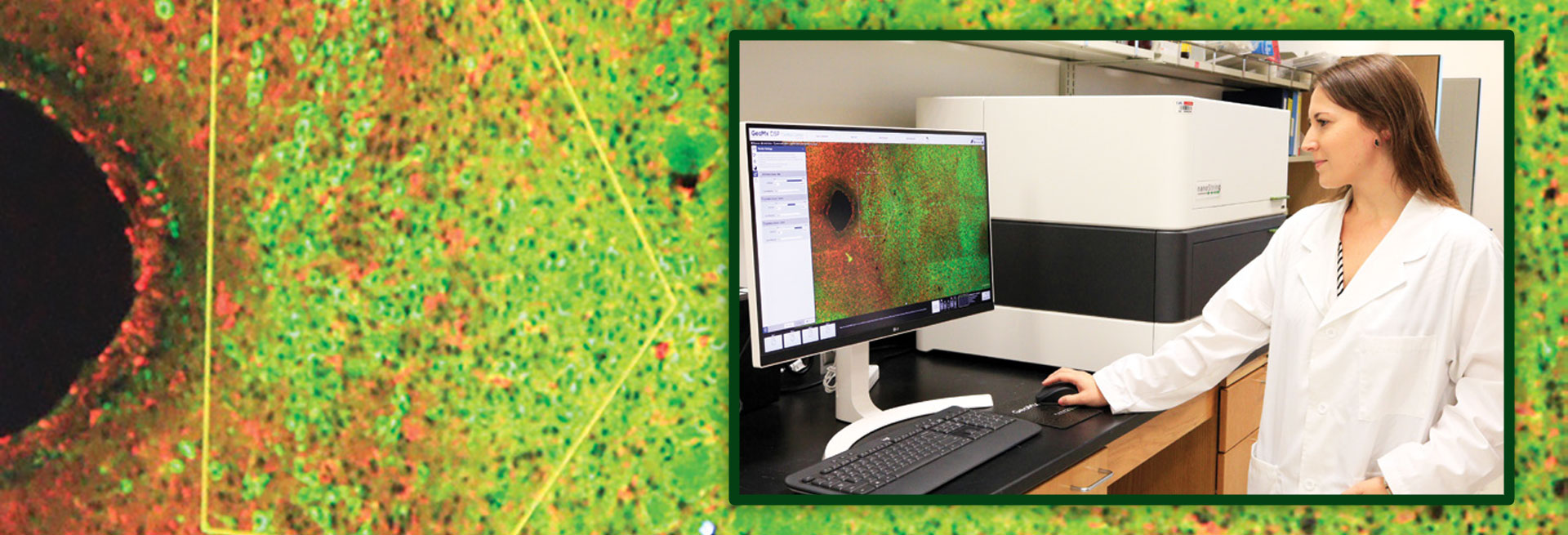Monitoring Molecules