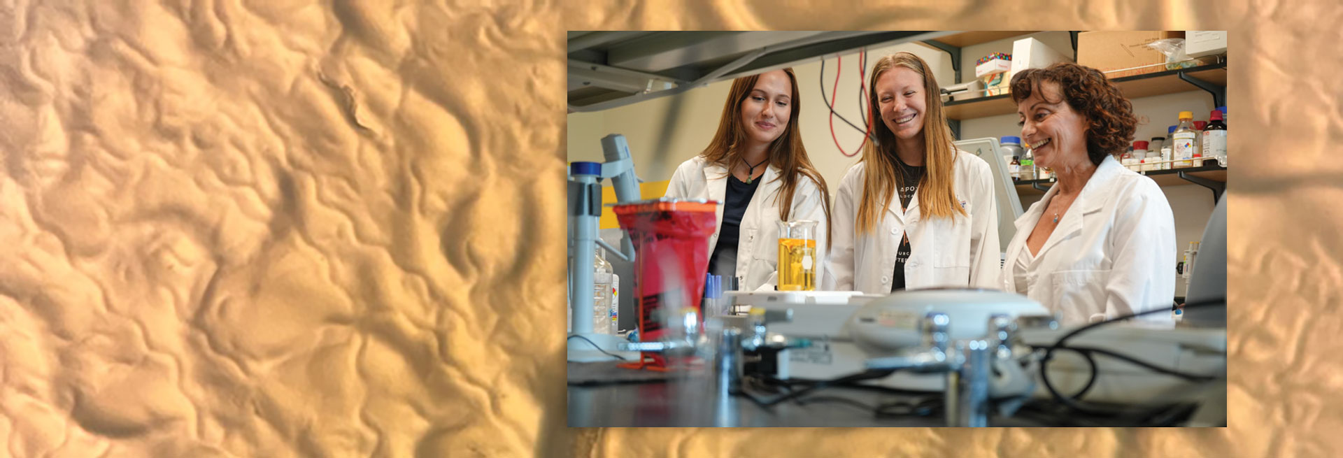 Search for the Source