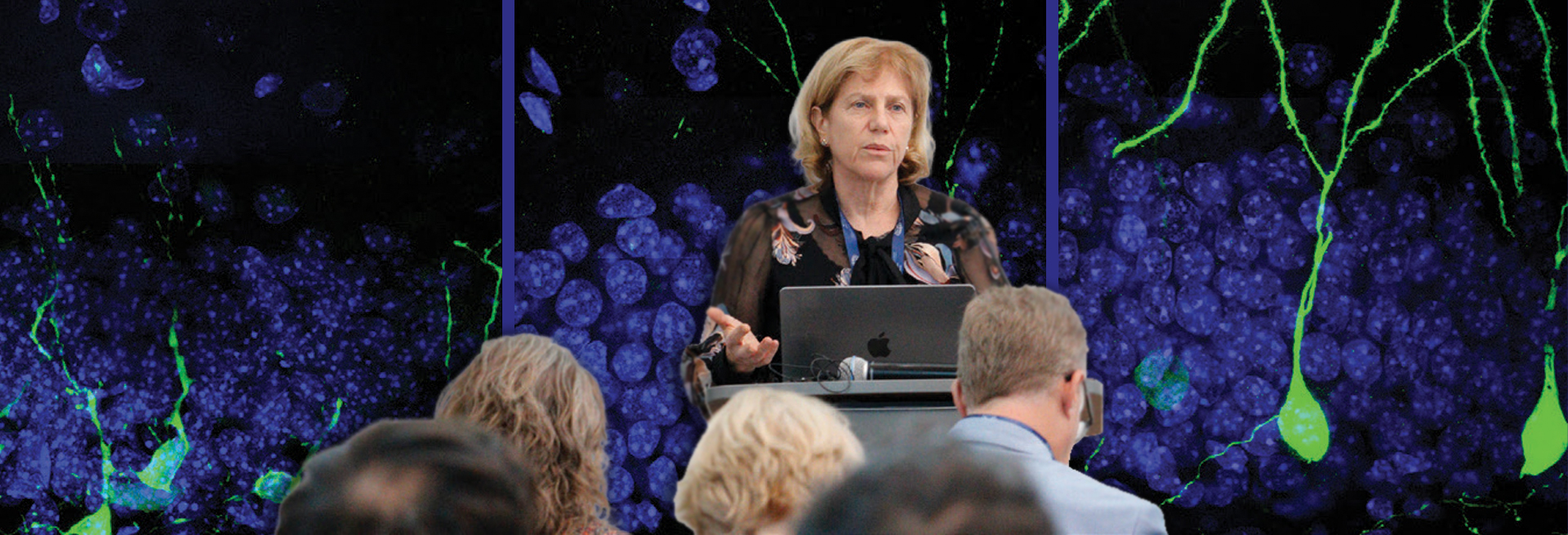 From Lab to Real World