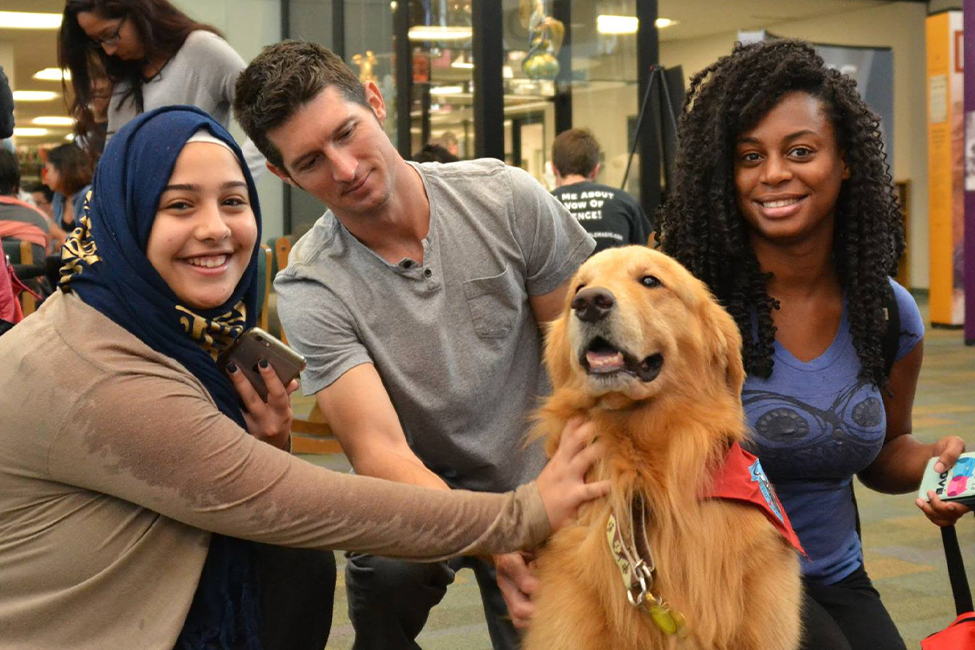 FAU students studying for final exams enjoy Koi, the therapy dog, as a stress relief break.